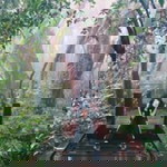 Phingphing Pvp profile icon