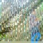 Dewi Retno profile icon