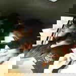 เอกลักษณ์ นุชน้อย profile icon