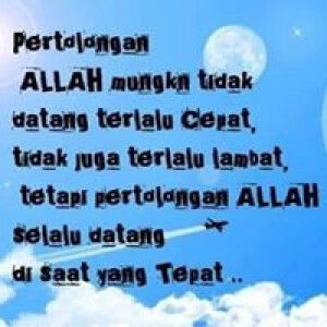 Lily Medina Faisal profile icon