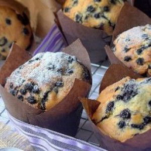 Vera KD profile icon