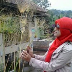 Rahh Maaww profile icon