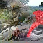 Rahh Maaww profile icon