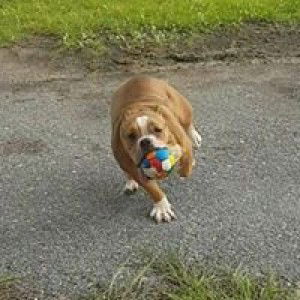 ลูกชายก๊วยเจ๋ง ลูกสาวหนูดี profile icon