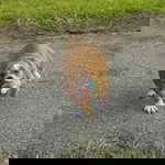 ลูกชายก๊วยเจ๋ง ลูกสาวหนูดี profile icon