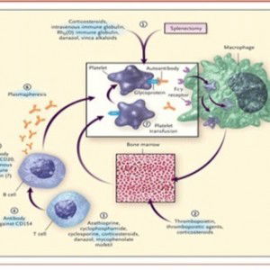 Blue sky profile icon