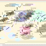 Blue sky profile icon