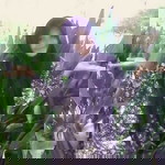 nuri halimah profile icon