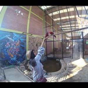 Irma Ar Ryanie profile icon