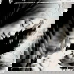 Dewi Fitriani profile icon