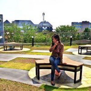 Dessy Chaerunnissa profile icon