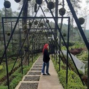 Niddia Ismarini Pratiwi profile icon