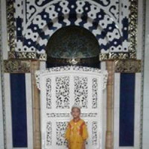 Dina Ziyad profile icon