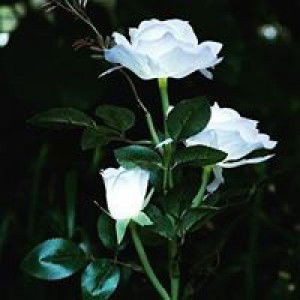 Reni Septiani profile icon