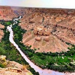 عاتكة الماهرة profile icon