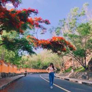 Lê THương profile icon