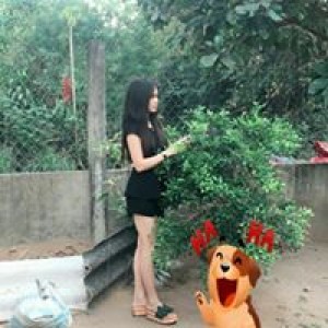 Qui Trương profile icon