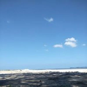 Rong CK profile icon