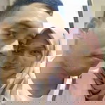 Anisa Fadhilah profile icon