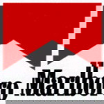 Muhammad Fiqri profile icon