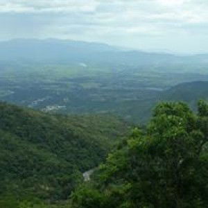 Oc Loan profile icon