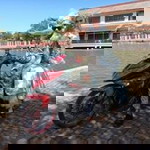 Mem Moii profile icon