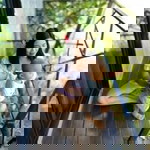 วราพร ธรรมเที่ยง profile icon