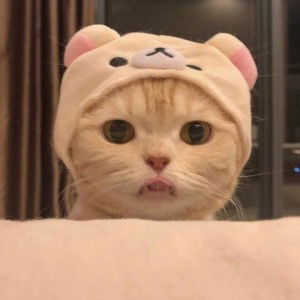 papawarin profile icon