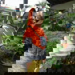 Latisha safia profile icon
