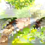 Goong'nang profile icon