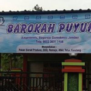 Barokah Puyuh profile icon