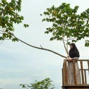 zulfiah profile icon