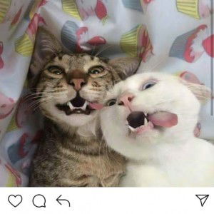 iway wijaya profile icon