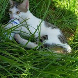 Adynda Latuconsina profile icon