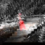 Suwimon Levine profile icon