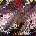 Fitri Triwara profile icon