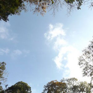 adty Tanjung profile icon