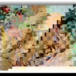 Dwii Evva R N profile icon