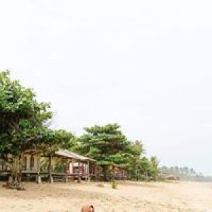 Anisa Hakiki profile icon