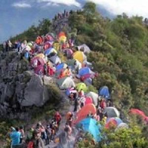 Haisha Hanania profile icon