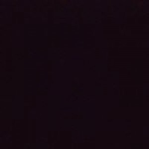 Nila Bikir profile icon