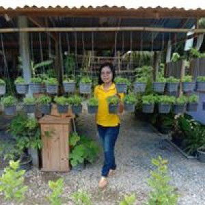 Kannika Panarach profile icon