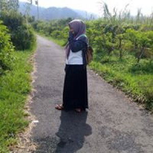 Puput Allfian Nopell profile icon