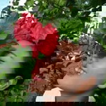 ตัว เล็ก'กก profile icon