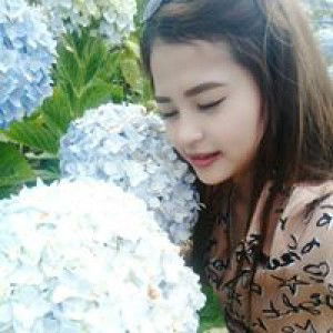 Sống Nhạt profile icon