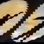 Seri Qaseh KuChynta profile icon