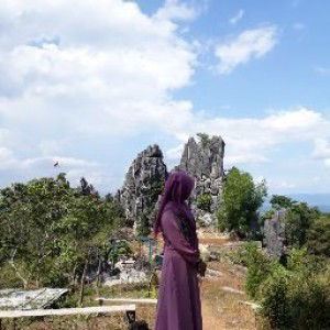 Tiska Oktavianis profile icon