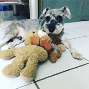 Ava Lau profile icon