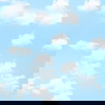 Shafa Sofia profile icon