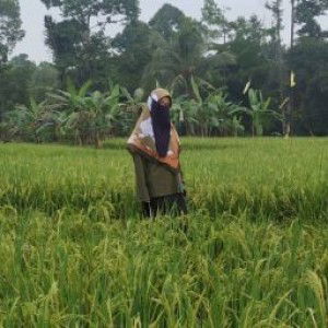 Dina Athory profile icon